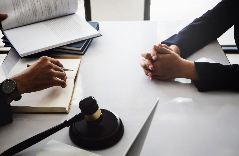 lawyer is consulting client